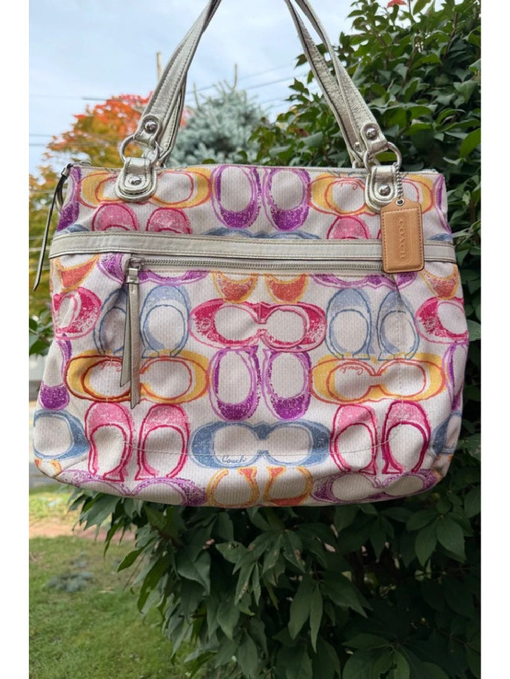 Coach Poppy Dream C Glam Tote 19023 Multicolor 2009 Shoulder Bag